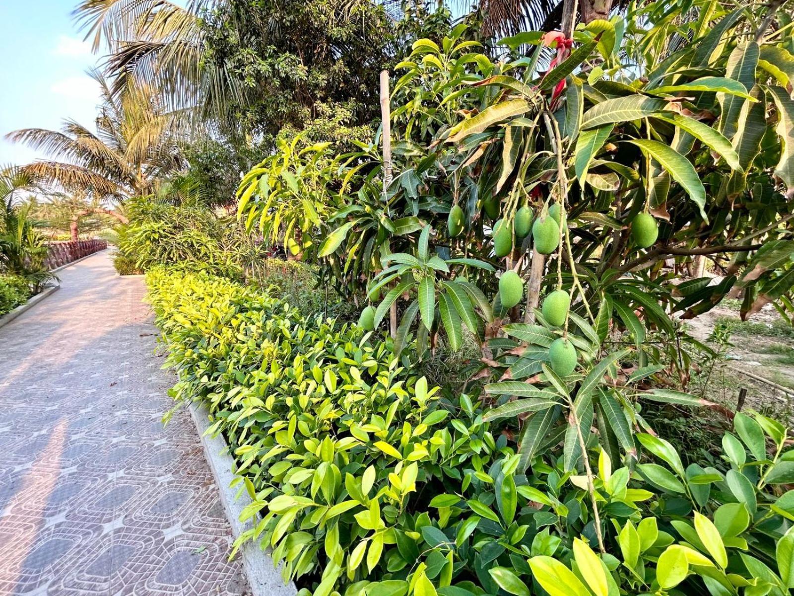 כלכותה Palli Bangla Resort, Near Ruby Hospital, Anandapur מראה חיצוני תמונה